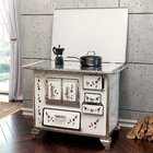 Fogão A Lenha N2 Gabienete Af Porta Dupla L/e Flor