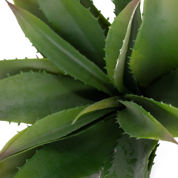 Folha Artificial Agave Com Raiz X21 Para Arranjos Verde 25 Cm F04
