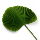 Folha Artificial Latânia Leque Realista Verde Escuro 83 Cm F0