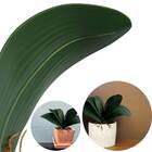Folha Artificial Orquídea Verde 26x35cm 18 Unidades Com Raíze