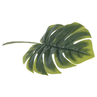 Folha Costela de Adão Gigante Verde