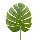 Folha Costela De Adão Permanente Toque Real Verde