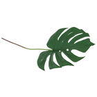 Haste Folha Costela de Adão em Pu, com tubo moldável, verde.