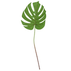 Haste Folha Costela de Adão em Pu, com tubo moldável, verde.