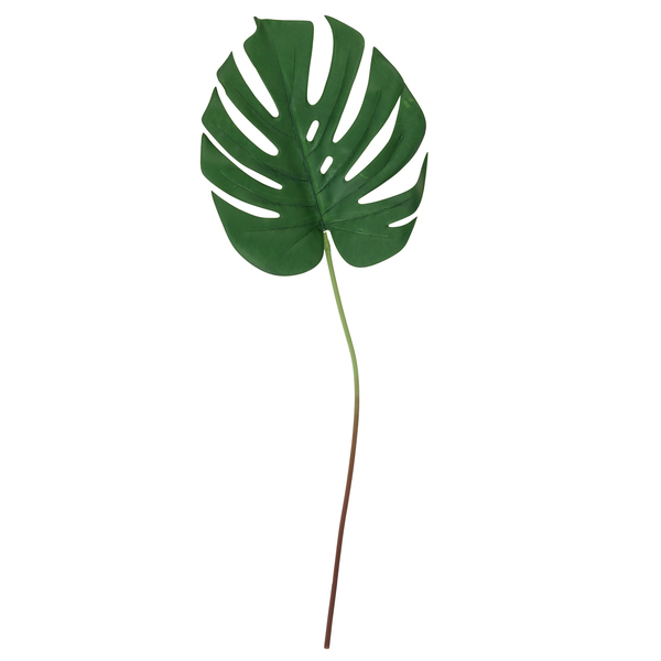 Haste Folha Costela de Adão em Pu, com tubo moldável, verde.