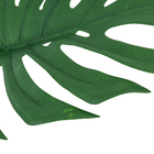 Haste Folha Costela de Adão em Pu, com tubo moldável, verde.