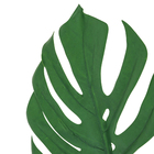 Haste Folha Costela de Adão em Pu, com tubo moldável, verde.