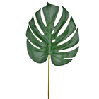 Haste Folha Costela de Adão em tubo moldável, verde.