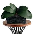 Folha De Orquídea Artificial 12 Unidades 26cm Realista Com Ra