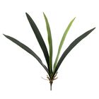 Folha De Orquídea Artificial X5 Cymbidium