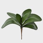 Folha De Orquídea Verde Grande Planta Artificial Único