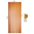Folha De Porta Em Madeira Tauari Lisa 210x70cm Mapaf Marrom