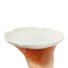 Folha Decorativa De Cerâmica Banana Leaf Branco Média