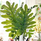 Folha Decorativa Philo Permanente Toque Real Verde Grillo