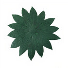 Folha Em Látex Seringueira G - Ac