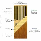 Folha Lisa Padrão Imbuia Sarrafeada 62 X 2.10