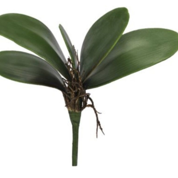 Folha Orquidea C/arame Phalaenopsis C/powder X5 Verde 22cm