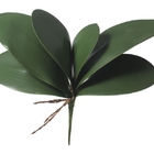 Folha Orquidea Phalaenopsis C/arame X6 (verde) 33cm