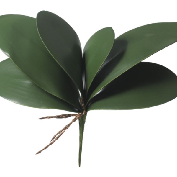 Folha Orquidea Phalaenopsis C/arame X6 (verde) 33cm