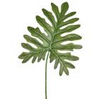 Folha Philo Médio 76x26 Verde Grillo