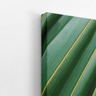 Folha Planta Verde Natureza Arte Quadro Canvas 140x90cm
