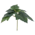 Folhagem Artificial  Folha de Uva 20cm Flor&Arte
