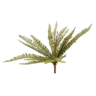 Folhagem Artificial  Samambaia 49cm Flor&Arte