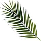 Folhagem Artificial Buquê De Folhas De Palmeira Verde