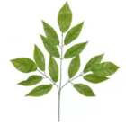 Folhagem Artificial Folha Verde 72cm