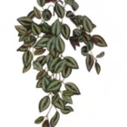 Folhagem Artificial Lambari Para Pendurar Verde Roxo 55cm