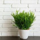 Folhagem Artificial Planta Imita Bambu Artificial 5 Buques Pa