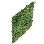 Folhagem Artificial Tropical 100x100cm Verde Tenax