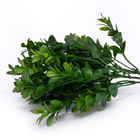 Folhagem Buxo Verde Com Powder Plástico 13x33 Cm - D'rossi