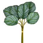 Folhagem com haste em tubo Caladium Silvestre  e folhas siliconadas.