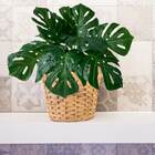 Folhagem Costela De Adão Planta Artificial Realista 18 Unidad