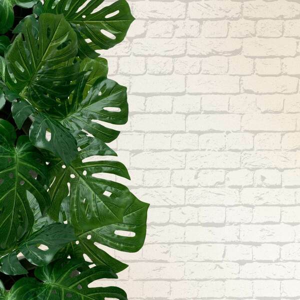 Folhagem Costela De Adão Planta Artificial Realista 18 Unidad