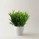 Folhagem De Bambu Perfeito Para Arranjos Decoração 4 Buques R