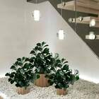 Folhagem Peperômia Artificial Em 15 Hastes - Perfeita Para De