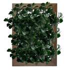 Folhagem Peperômia Artificial Em 15 Hastes - Perfeita Para De