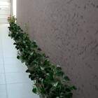 Folhagem Peperômia Artificial Em 15 Hastes - Perfeita Para De