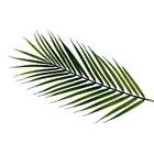 Folhagens Artificiais 6 Buquês De Palmeiras No Atacado 30 Cm