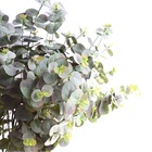 Folhagens Artificiais Kit 12 Galhos De Eucaliptos No Atacado