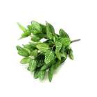 Folhagens Artificiais Kit 4 Buquês De Fitonia Para Arranjos 4