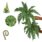 Folhagens Artificiais Realistas 7 Unidades De Alta Qualidade