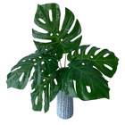 Folhas De Costela De Adão Artificiais 7 Unidades Planta Verde