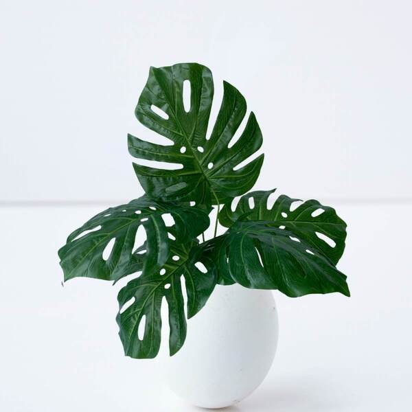 Folhas De Costela De Adão Artificiais 7 Unidades Planta Verde