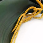 Folhas De Orquídea Com Raízes Para Decoração