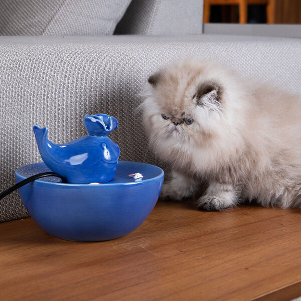 Fonte Bebedouro Automático De Cerâmica Para Gatos 1,3l Baleia