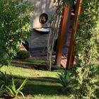 Fonte Cara De Leão Rei Chafariz  Jardim Ferro Fundido Pronto