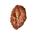 Fonte Cara De Leão Rei Chafariz  Jardim Ferro Fundido Pronto